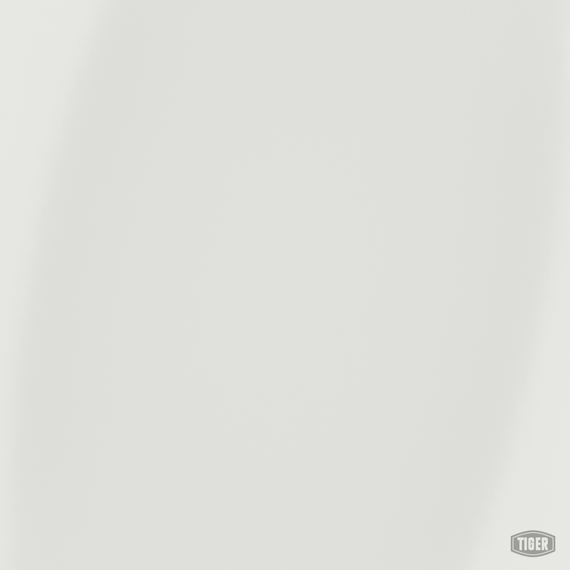 Tole prelaquee 2500x1250x1,5 9010BELGE